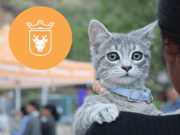Vacunar a una mascota no solo mejora su calidad de vida, sino que también te permite disfrutar de su compañía por mucho más tiempo. ESPECIAL/ Protección Animal Zapopan