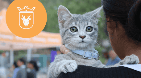 Vacunar a una mascota no solo mejora su calidad de vida, sino que también te permite disfrutar de su compañía por mucho más tiempo. ESPECIAL/ Protección Animal Zapopan