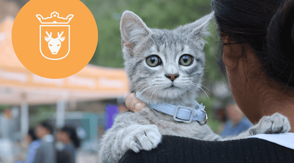 Vacunar a una mascota no solo mejora su calidad de vida, sino que también te permite disfrutar de su compañía por mucho más tiempo. ESPECIAL/ Protección Animal Zapopan