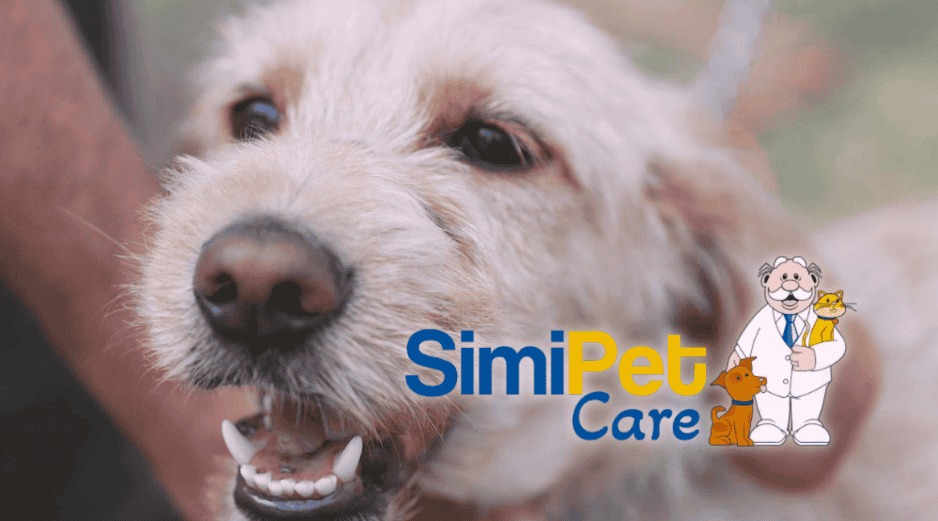 SimiPet representa un alivio significativo para miles de familias que buscan proteger a sus animales sin comprometer su presupuesto mensual. EL INFORMADOR/ARCHIVO