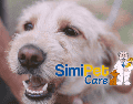 SimiPet representa un alivio significativo para miles de familias que buscan proteger a sus animales sin comprometer su presupuesto mensual. EL INFORMADOR/ARCHIVO