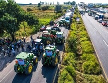 En los últimos ciclos agrícolas, organizaciones de productores han exigido precios de garantía más altos, subsidios para la comercialización del grano y mecanismos de apoyo frente a la volatilidad del mercado. EL INFORMADOR/ ARCHIVO
