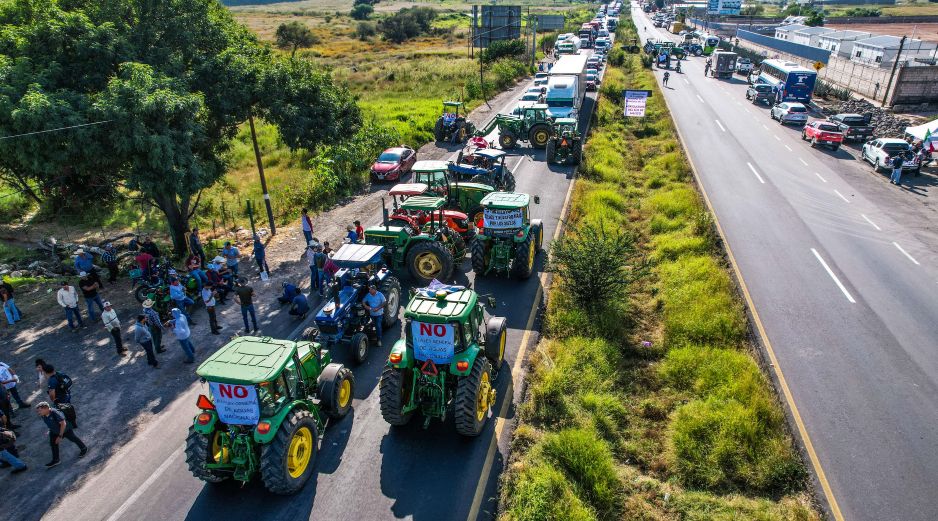 En los últimos ciclos agrícolas, organizaciones de productores han exigido precios de garantía más altos, subsidios para la comercialización del grano y mecanismos de apoyo frente a la volatilidad del mercado. EL INFORMADOR/ ARCHIVO