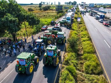 En los últimos ciclos agrícolas, organizaciones de productores han exigido precios de garantía más altos, subsidios para la comercialización del grano y mecanismos de apoyo frente a la volatilidad del mercado. EL INFORMADOR/ ARCHIVO