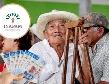 El INAPAM mantiene convenios laborales y beneficios especiales enfocados en mejorar la calidad de vida de las personas mayores. PEXELS/ESPECIAL