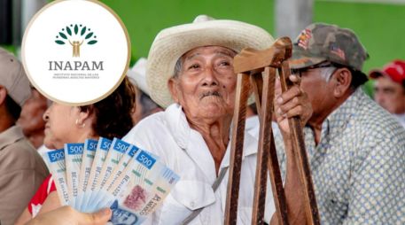 El INAPAM mantiene convenios laborales y beneficios especiales enfocados en mejorar la calidad de vida de las personas mayores. PEXELS/ESPECIAL