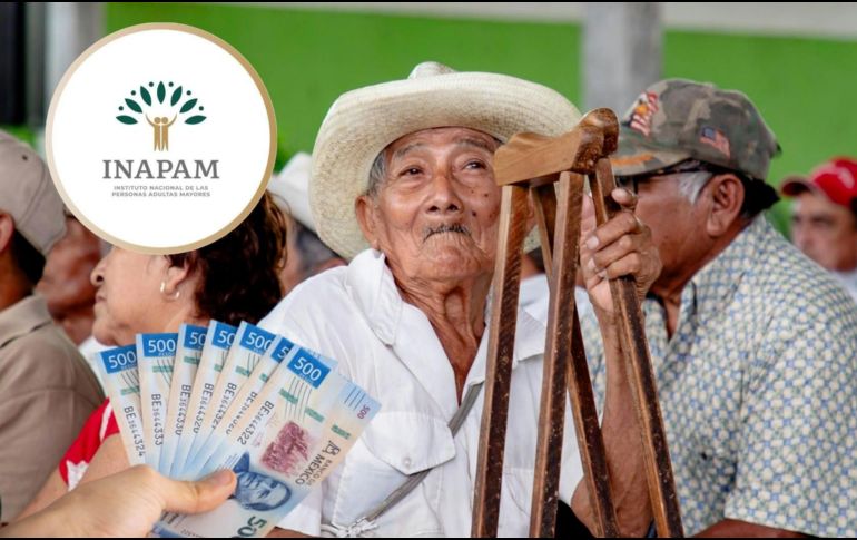 El INAPAM mantiene convenios laborales y beneficios especiales enfocados en mejorar la calidad de vida de las personas mayores. PEXELS/ESPECIAL