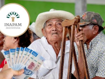 El INAPAM mantiene convenios laborales y beneficios especiales enfocados en mejorar la calidad de vida de las personas mayores. PEXELS/ESPECIAL