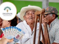El INAPAM mantiene convenios laborales y beneficios especiales enfocados en mejorar la calidad de vida de las personas mayores. PEXELS/ESPECIAL