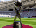 La rama varonil disputará el torneo mundialista Sub-17 del 19 de noviembre al 13 de diciembre en Qatar; la femenil lo hará en Marruecos del 17 de octubre al 7 de noviembre. ESPECIAL / FIFA