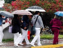Lluvia y calor extremo forman parte de las condiciones climáticas que prevalecerán en la capital jalisciense. EL INFORMADOR/ARCHIVO