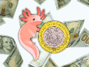 Si planeas comprar dólares, tienes deudas en moneda extranjera o simplemente te preocupan tus finanzas personales, esto te interesa hoy. ESPECIAL / CANVA
