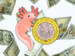 Si planeas comprar dólares, tienes deudas en moneda extranjera o simplemente te preocupan tus finanzas personales, esto te interesa hoy. ESPECIAL / CANVA
