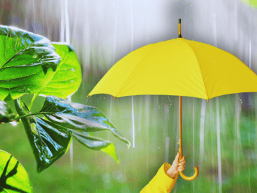 Las precipitaciones más intensas y peligrosas castigarán principalmente al sureste del país durante esta jornada de lunes. ESPECIAL / CANVA