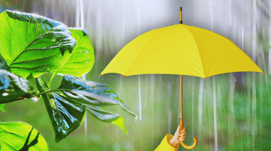 Las precipitaciones más intensas y peligrosas castigarán principalmente al sureste del país durante esta jornada de lunes. ESPECIAL / CANVA