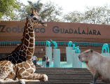 Si planeas aprovechar esta increíble promoción, te recordamos que el Zoológico Guadalajara se encuentra muy cerca de la Barranca de Huentitán. ESPECIAL/ EL INFORMADOR/ ARCHIVO/ Unsplash