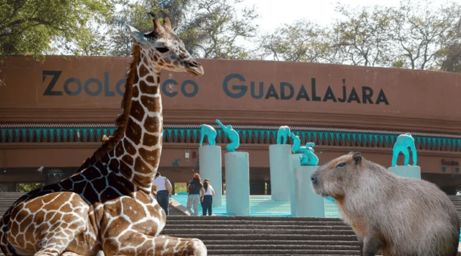 Si planeas aprovechar esta increíble promoción, te recordamos que el Zoológico Guadalajara se encuentra muy cerca de la Barranca de Huentitán. ESPECIAL/ EL INFORMADOR/ ARCHIVO/ Unsplash