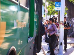 La ruta C128A v2 vía larga, se tiene previsto que llegue al Centro de la ciudad, sin embargo, actualmente, se encuentra en ajustes operativos y se prevé se normalice su operación en el transcurso de esta semana. EL INFORMADOR/J. Acosta