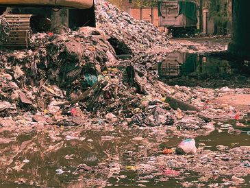Para revertir esta crisis estructural, el Gobierno de México, a través de la Semarnat, propone transitar hacia una economía circular. EL INFORMADOR / ARCHIVO