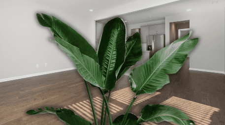 Estas plantas son ideales para departamentos pequeños donde se busca una solución práctica y ecológica. ESPECIAL
