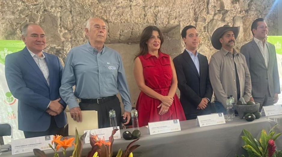 Productores y autoridades impulsan una estrategia para posicionar el aguacate de Jalisco a nivel global. EL INFORMADOR/J. Velazco