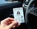 CDMX cuenta con módulos fijos para tramitar la licencia de conducir; revisa ubicaciones, requisitos y costos actualizados en 2026. SUN/ ARCHIVO.