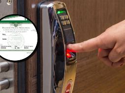 La CURP irá más allá del formato alfanumérico tradicional e incluirá huellas digitales, escaneo de iris y firma electrónica. ESPECIAL/PEXELS