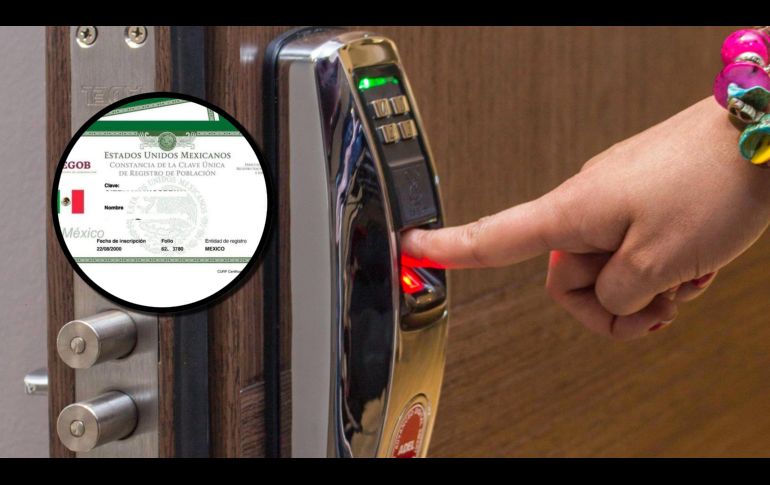 La CURP irá más allá del formato alfanumérico tradicional e incluirá huellas digitales, escaneo de iris y firma electrónica. ESPECIAL/PEXELS