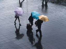 Las 16 alcaldías de la capital tienen un alto pronóstico de lluvia, por lo que absolutamente ninguna zona estará exenta de las precipitaciones. Unsplash
