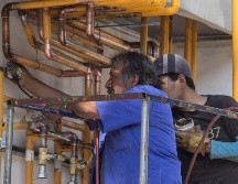 Entre algunos rubros de trabajo informal en México estan el empleo doméstico sin contrato, las labores agropecuarias sin seguridad social. EL INFORMADOR / ARCHIVO