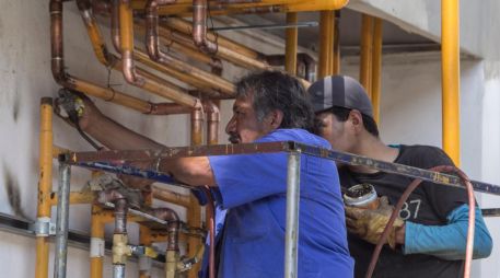 Entre algunos rubros de trabajo informal en México estan el empleo doméstico sin contrato, las labores agropecuarias sin seguridad social. EL INFORMADOR / ARCHIVO
