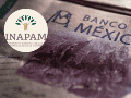 El principal requisito para participar es contar con la credencial vigente del INAPAM. ESPECIAL/Pexels