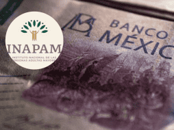 El principal requisito para participar es contar con la credencial vigente del INAPAM. ESPECIAL/Pexels
