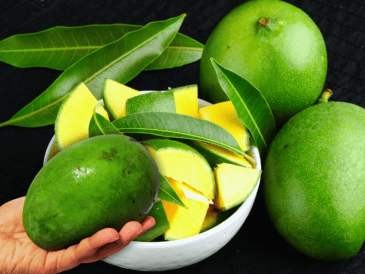 Cuando el mango está verde, su pulpa contiene una cantidad significativamente menor de azúcar, lo que se traduce en un índice glucémico mucho más bajo en comparación con su versión madura. ESPECIAL / CANVA