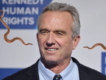 Las serpientes atrapadas por Robert Kennedy Jr. son dos ejemplares de corredora negra del sur, una subespecie no venenosa, común en el sureste de Estados Unidos y conocida por su agilidad. EFE / ARCHIVO