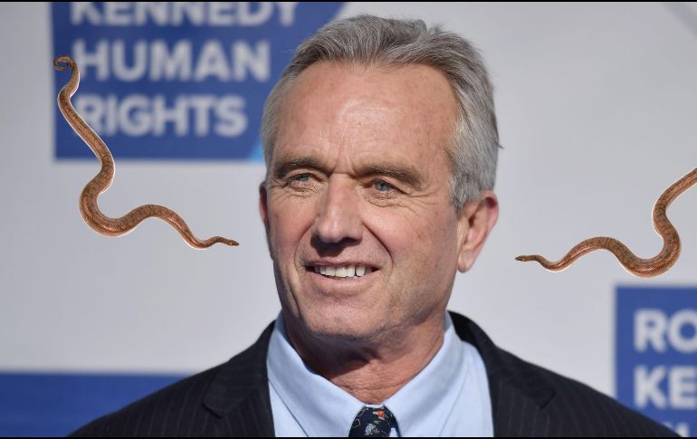 Las serpientes atrapadas por Robert Kennedy Jr. son dos ejemplares de corredora negra del sur, una subespecie no venenosa, común en el sureste de Estados Unidos y conocida por su agilidad. EFE / ARCHIVO