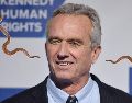 Las serpientes atrapadas por Robert Kennedy Jr. son dos ejemplares de corredora negra del sur, una subespecie no venenosa, común en el sureste de Estados Unidos y conocida por su agilidad. EFE / ARCHIVO