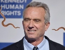 Las serpientes atrapadas por Robert Kennedy Jr. son dos ejemplares de corredora negra del sur, una subespecie no venenosa, común en el sureste de Estados Unidos y conocida por su agilidad. EFE / ARCHIVO