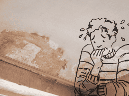 Si no se atiende rápidamente, la pared puede deteriorarse hasta requerir una reparación completa. Las zonas más afectadas suelen ser baños, cocinas, patios y habitaciones pegadas a muros exteriores. CANVA
