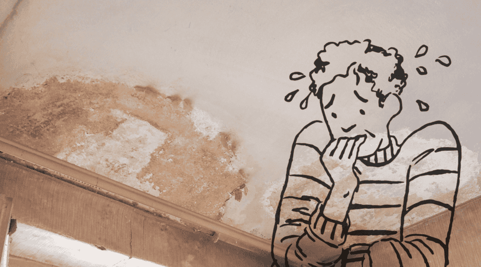 Si no se atiende rápidamente, la pared puede deteriorarse hasta requerir una reparación completa. Las zonas más afectadas suelen ser baños, cocinas, patios y habitaciones pegadas a muros exteriores. CANVA