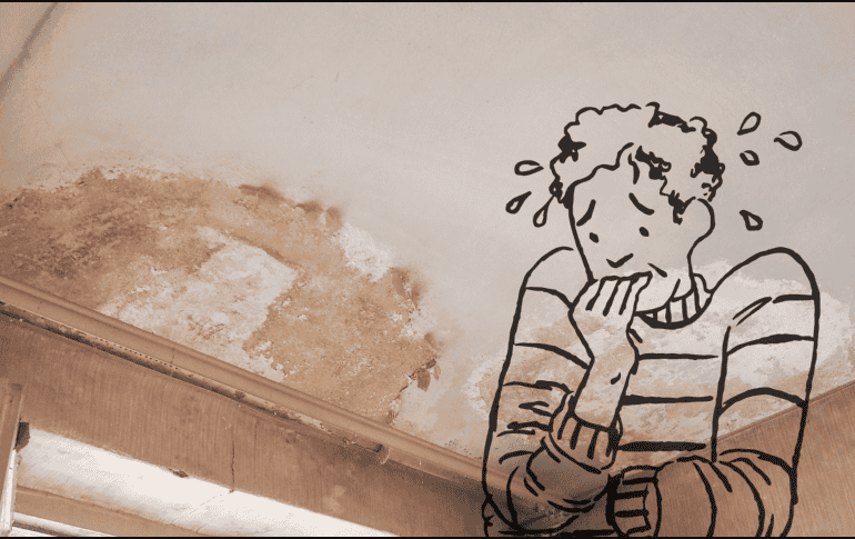 Si no se atiende rápidamente, la pared puede deteriorarse hasta requerir una reparación completa. Las zonas más afectadas suelen ser baños, cocinas, patios y habitaciones pegadas a muros exteriores. CANVA
