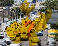 Se estima que 4 de cada 10 coches en el AMG circulan con placas foráneas. EL INFORMADOR / ARCHIVO
