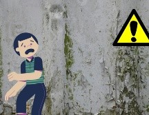 Actúa rápido ante la primera señal de decoloración en la pintura, la aparición de pequeños puntos negros o la percepción de un olor a humedad en casa. UNSPLASH / J.M. Read