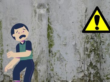 Actúa rápido ante la primera señal de decoloración en la pintura, la aparición de pequeños puntos negros o la percepción de un olor a humedad en casa. UNSPLASH / J.M. Read