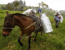 El IICA afirmó que a través de este enfoque, los países fortalecen sus capacidades internas. EFE/L. Noriega