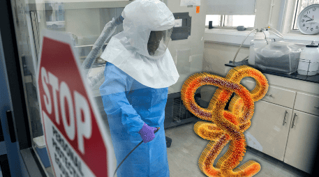El virus del Ébola desencadena una agresiva fiebre hemorrágica que ataca múltiples órganos. XINHUA/Nie Zuguo