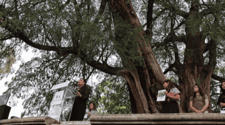 Estas acciones refuerzan el compromiso de la ciudad por preservar su memoria biológica y urbana, asegurando que estos gigantes verdes permanezcan intactos para las futuras generaciones. SUN/F. Zamora