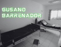De acuerdo con el informe de casos activos de CBG de la Senasica, al corte del 27 de mayo se reportaron cuatro casos de gusano barrenador en la Ciudad de México. EL INFORMADOR/ARCHIVO