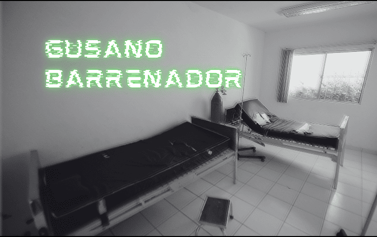 De acuerdo con el informe de casos activos de CBG de la Senasica, al corte del 27 de mayo se reportaron cuatro casos de gusano barrenador en la Ciudad de México. EL INFORMADOR/ARCHIVO