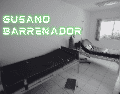 De acuerdo con el informe de casos activos de CBG de la Senasica, al corte del 27 de mayo se reportaron cuatro casos de gusano barrenador en la Ciudad de México. EL INFORMADOR/ARCHIVO